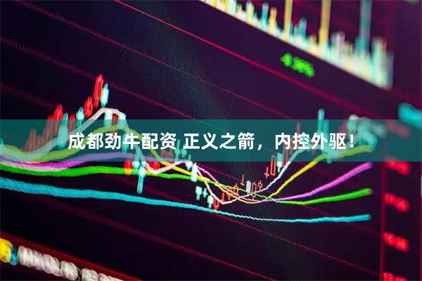 成都劲牛配资 正义之箭，内控外驱！